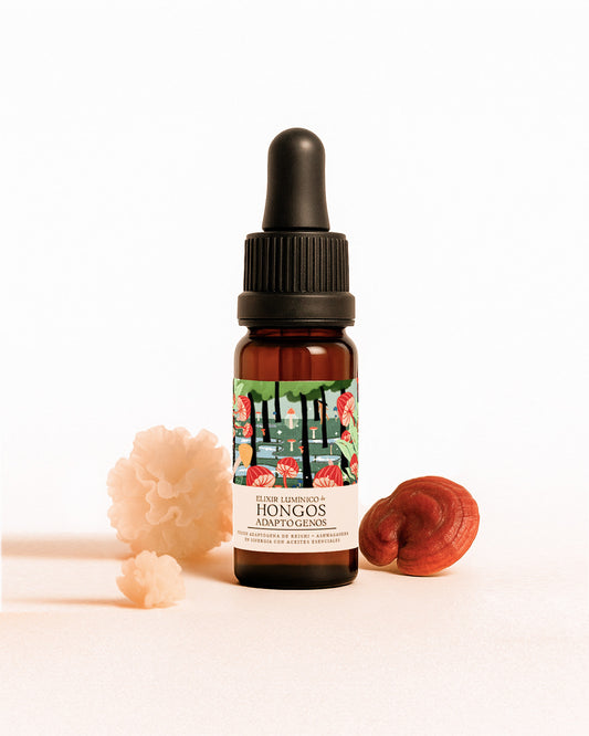 Ritual elixir de hongos adaptógenos