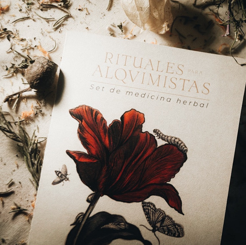 RITUALES PARA ALQUIMISTAS