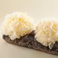 Crema Facial Bosques de Tremella