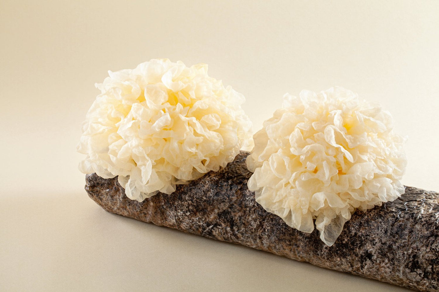 Crema Facial Bosques de Tremella